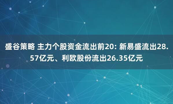 盛谷策略 主力个股资金流出前20: 新易盛流出28.57亿元、利欧股份流出26.35亿元