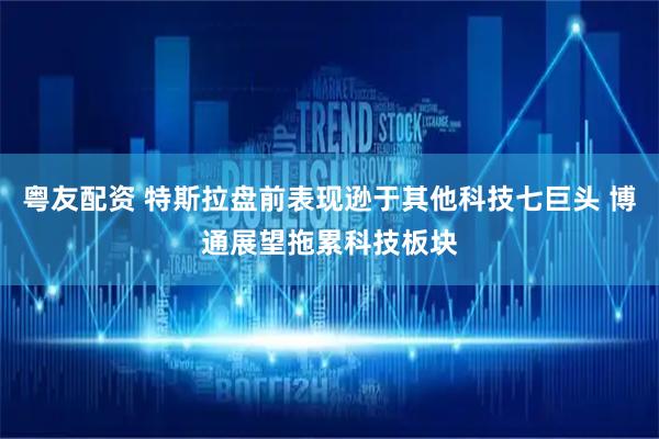粤友配资 特斯拉盘前表现逊于其他科技七巨头 博通展望拖累科技板块
